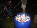 img146.jpeg.small.jpeg