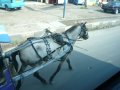 img163.jpeg.small.jpeg